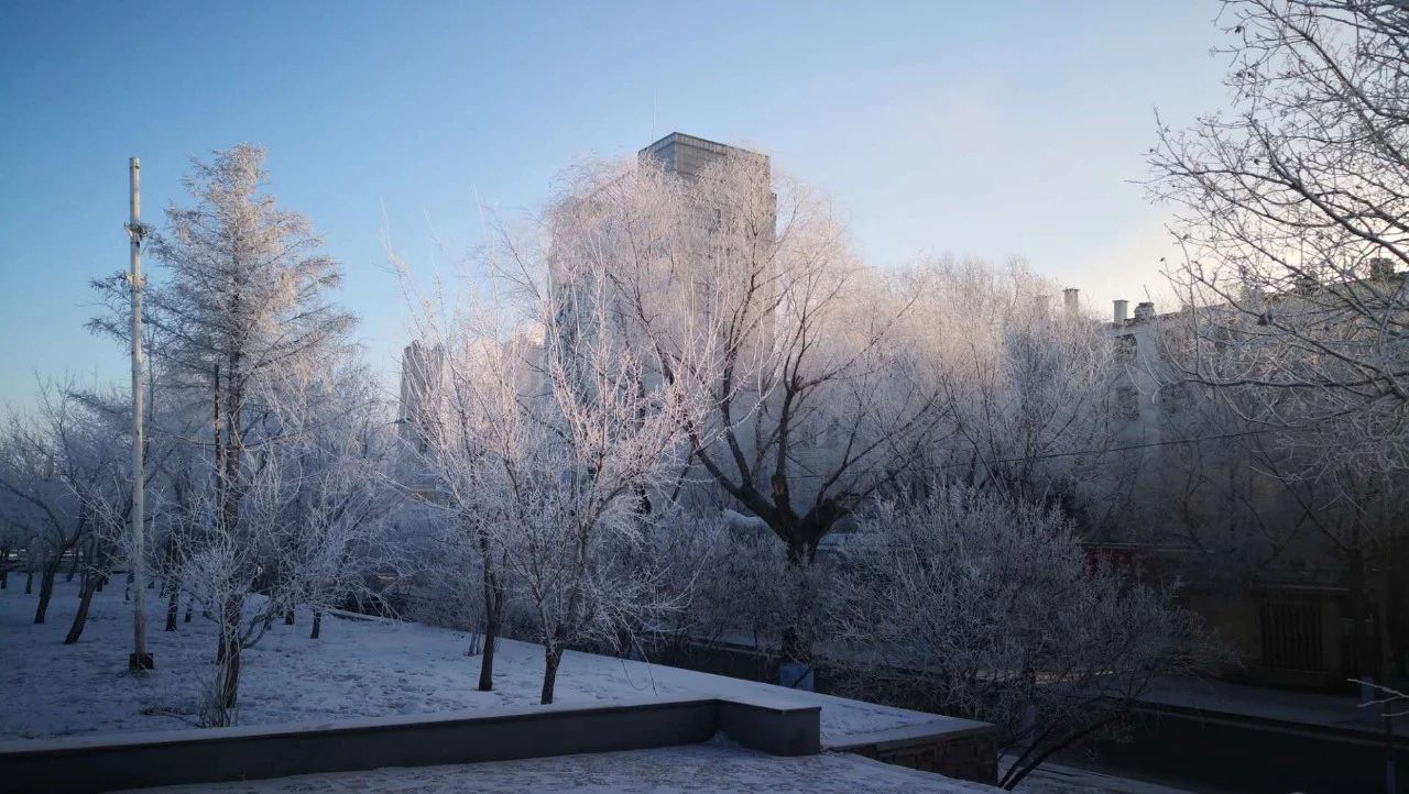 未来7天冰城气温,冰城迎极寒的天气