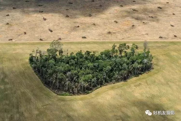 荷赛大奖作品,荷赛2022年获奖作品