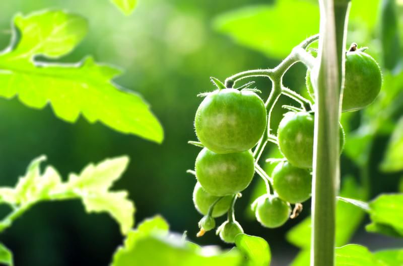 寻找一起做事志同道合的合伙人,找正能量的合伙人