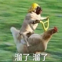 “2019年，我朋友圈的代购都疯了哈哈哈哈哈哈哈”