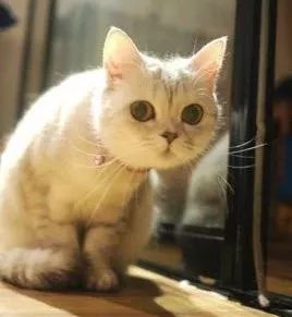 曼谷亚洲第一旅游城市,全球最受欢迎旅游城市曼谷