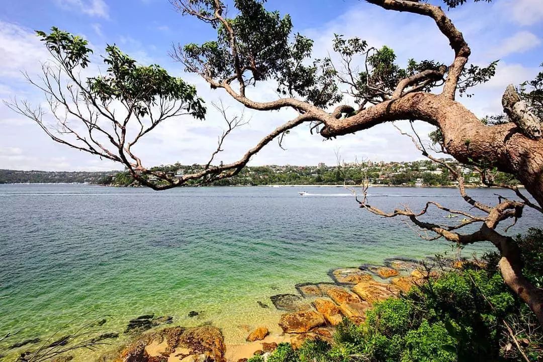 收藏这篇，其他号推荐的悉尼都可以删了