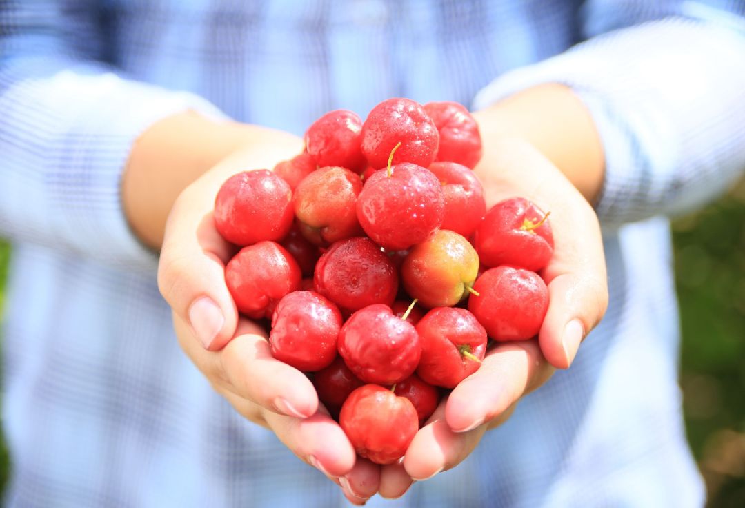 感冒吃药好不好,感冒吃药危害大还是打针危害大