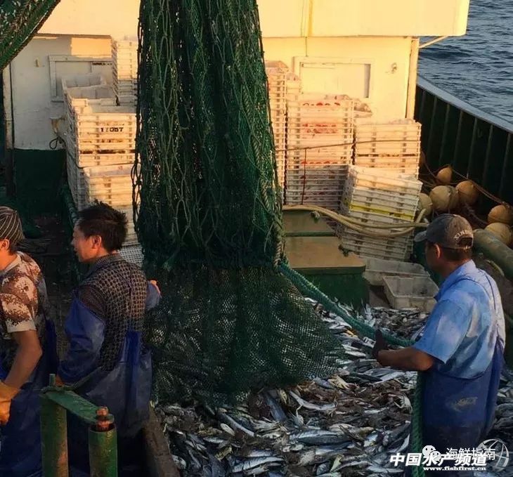 年前的海鲜市场：天气越冷，卖得越火！海味零食成蓝海