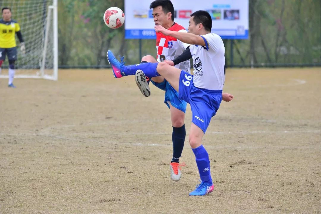 警界雄鹰打黑风暴,警界雄鹰电视剧