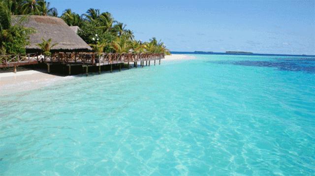 2019年这些统统免费！金乡的你不知道就亏大了