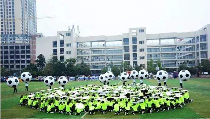 四川足球特色学校名单,双流区校园足球特色校有哪些