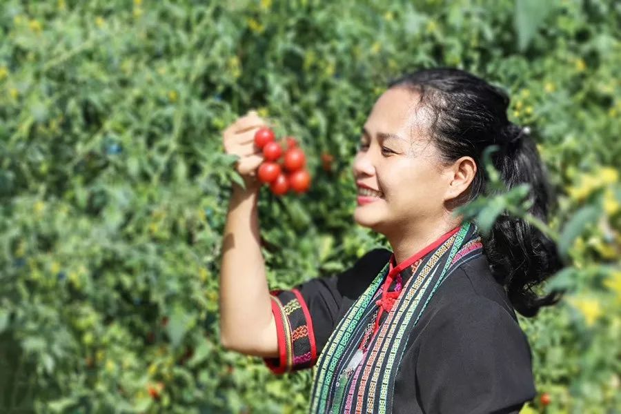 感受一下海南年味,黎族风味美食