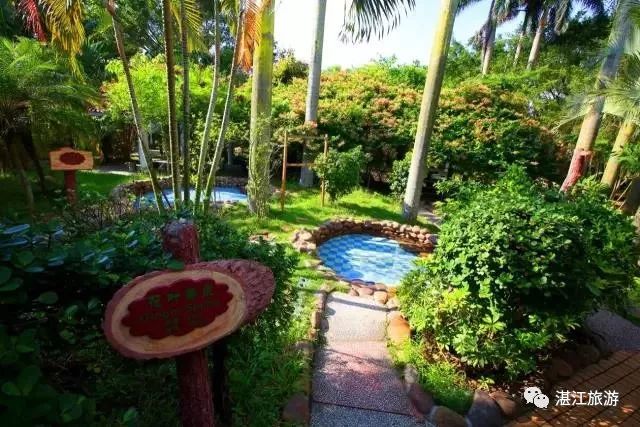 湛江海滨火山温泉景区,火山温泉广东