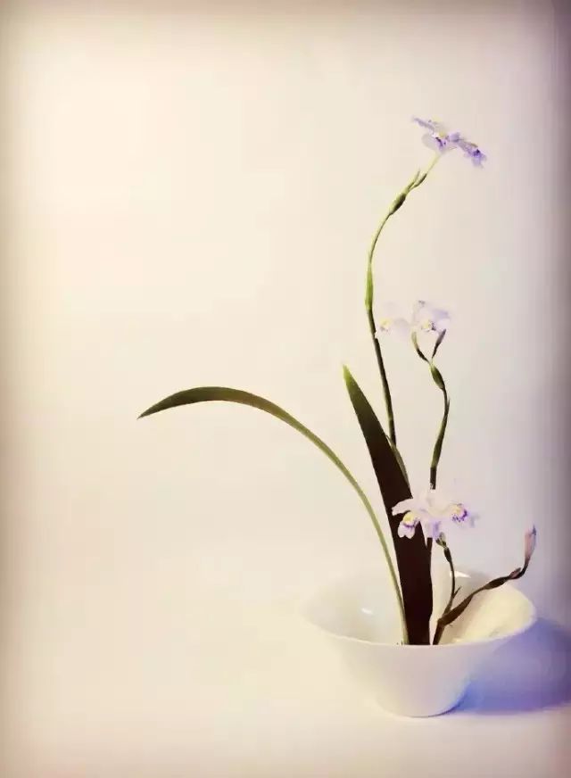 纳兰性德十首深情诗词,纳兰诗词60句深情而绝美短句