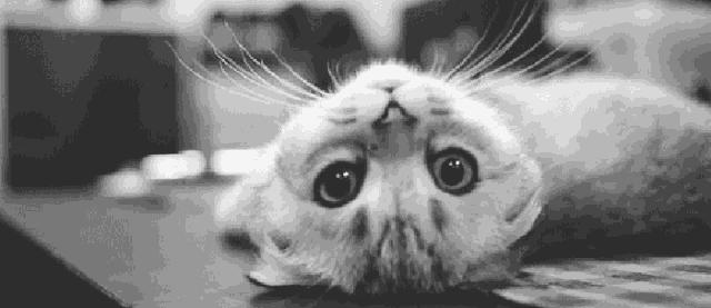 被它扎一下竟住院了！紧急提醒：严重可致死，苏州人准备年货要当心！