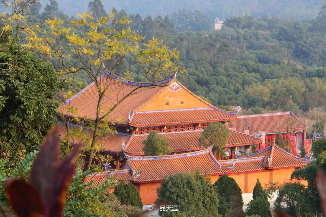 漳州大v排行,大v推荐传奇