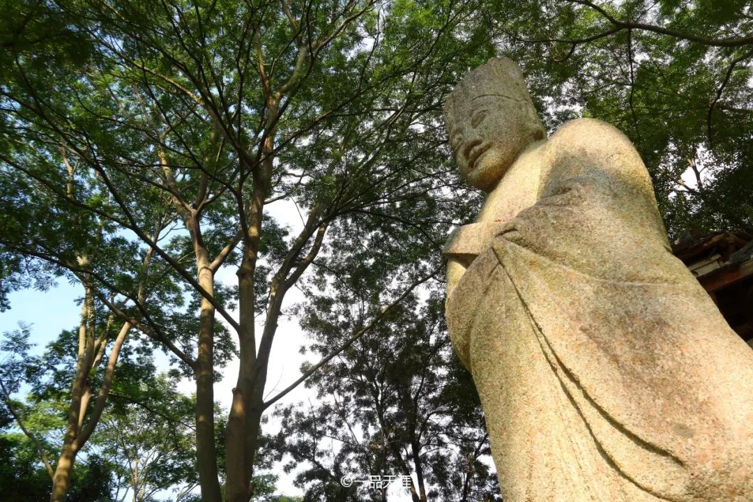 漳州大v排行,大v推荐传奇