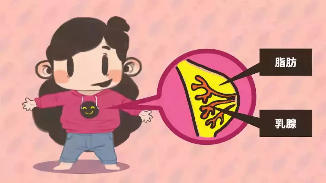 乳房按摩治病还是致病,乳房按摩什么作用