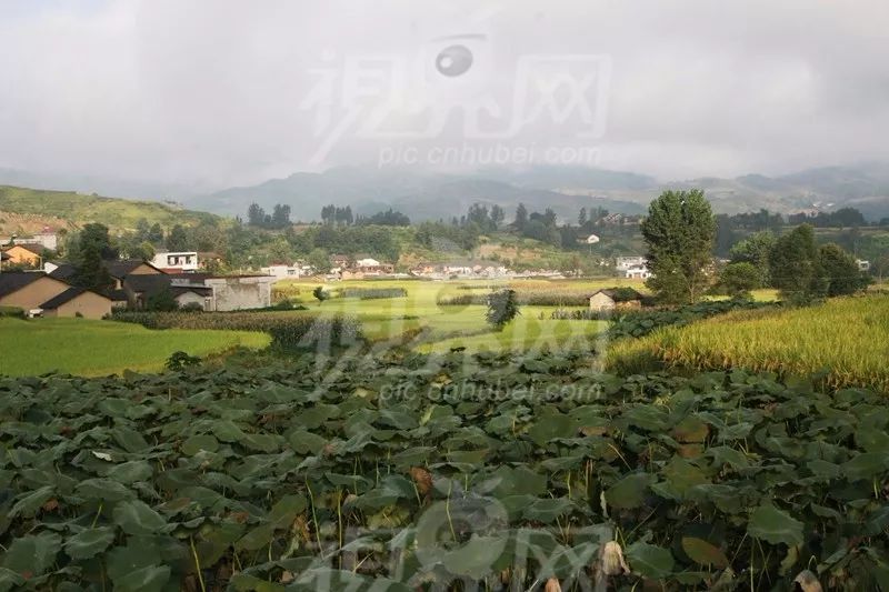 竹溪十大风景区,竹溪最美景区