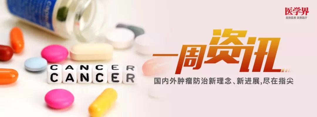 肺癌指南一线治疗方案,治疗小细胞肺癌的最新方法
