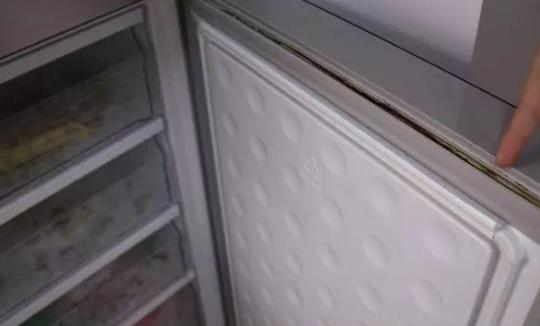 如何去除冰箱里的污渍霉斑,冰箱塑料条有霉斑怎么处理