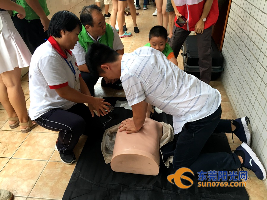 东莞2024年十件民生实事,东莞民生实事办理