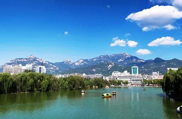 山东16地市房价排名,淄博房价平均多少钱一平