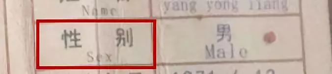 「提醒」被这个翻译气笑了！但更扯的是它背后的组织……