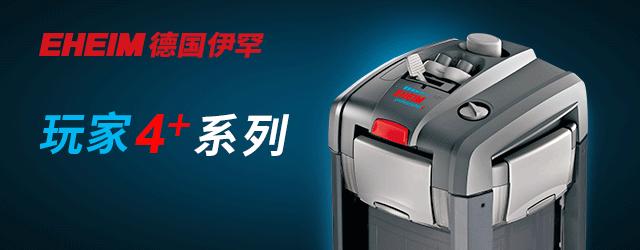 草缸观赏虾品种与养殖,观赏虾哪种在草缸里最好看