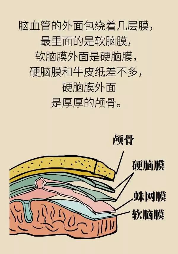 微针取血栓骗局视频,微针取血栓是国家认可吗