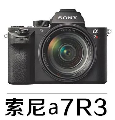 新手必须掌握的7个微距摄影技巧,光影留情谈微距拍摄技巧