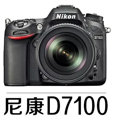 「器材使用」没用过遮光罩？看过这3点，赶紧把遮光罩带上吧！