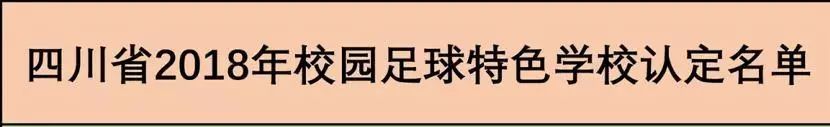 南充市国家级先进学校,南充足球最好的学校