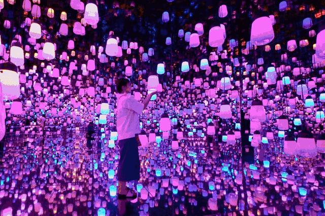 崇左龙谷湾恐龙公园门票团购价格,崇左龙谷湾恐龙桥