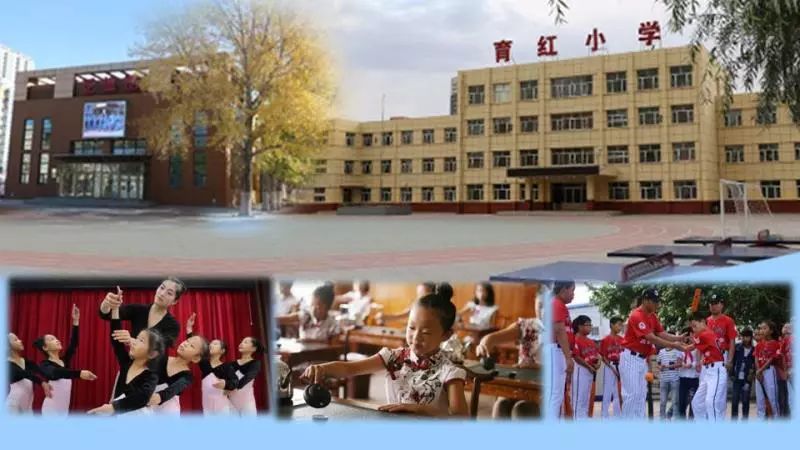 齐齐哈尔建华区学区28中划分明细,全齐齐哈尔初中排名