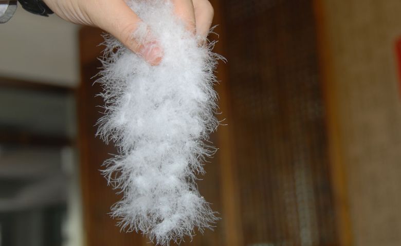 「新焦点」多款热门商品测出致癌物，吃的穿的都有，买年货的注意！