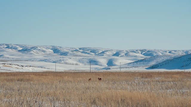 冬日喀纳斯，梦中的冰雪童话世界