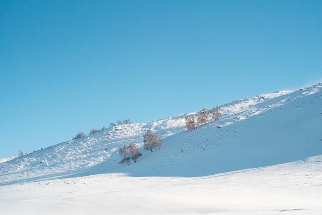 冬日喀纳斯,梦中的冰雪童话世界