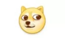 这些东西，看过的人都转疯了！