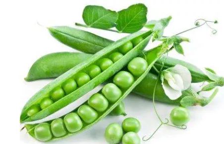 水产饲料成分说明,海水饲料