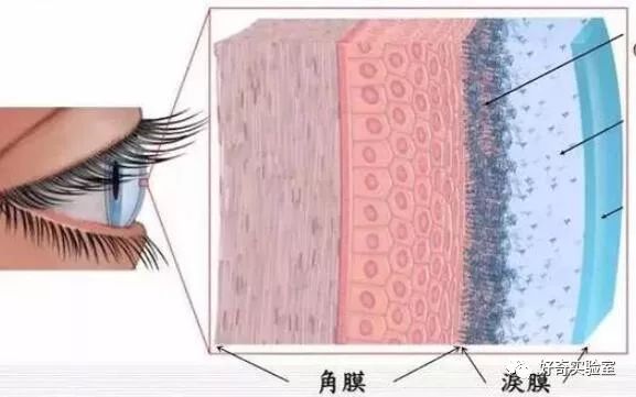 电脑显示屏垫高有用吗,为什么把显示器垫高了眼睛不舒服