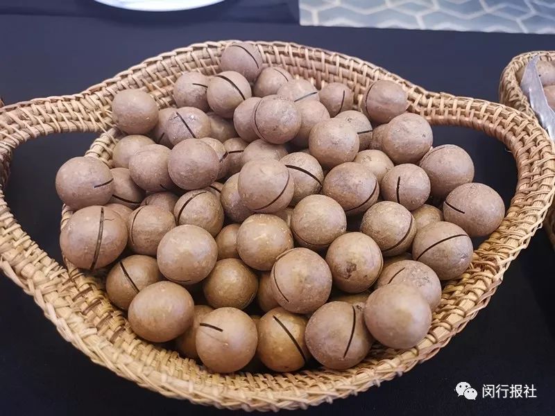 今天签约1亿元！云南咖啡、普洱、石斛……原产特色农产品可手机上抢购