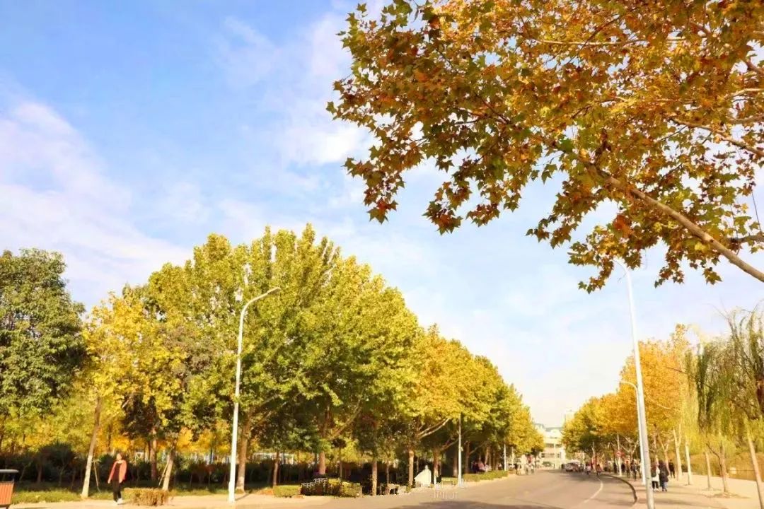 郑州市长向世界发出邀请,郑州向全球招才引智