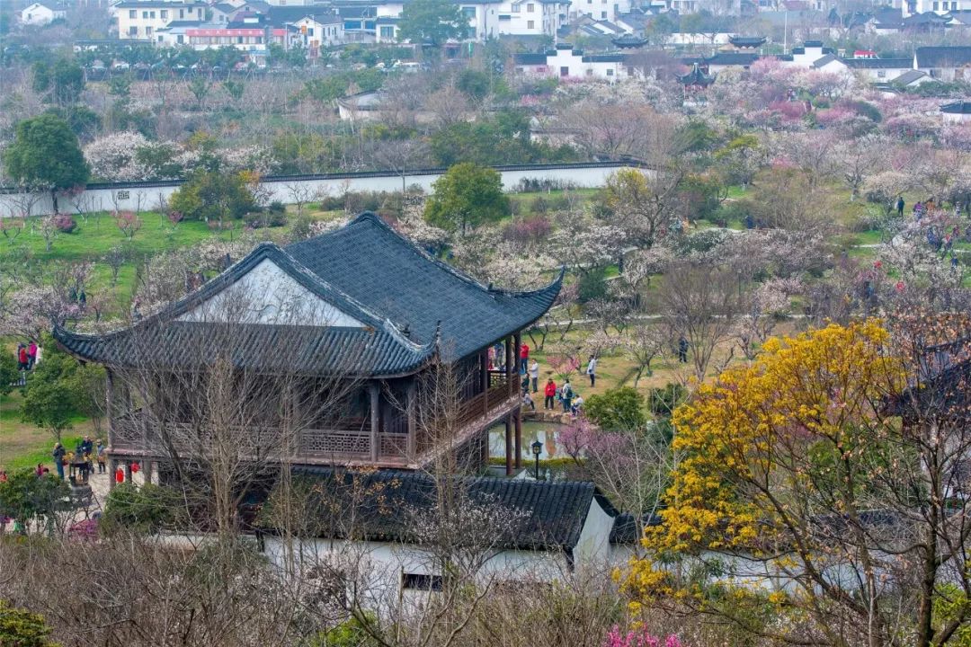 2月赏花好去处,油菜花4-5月旅游区域推荐