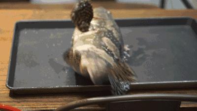 渔家女揭露海鲜市场黑幕,渔家女直播回放