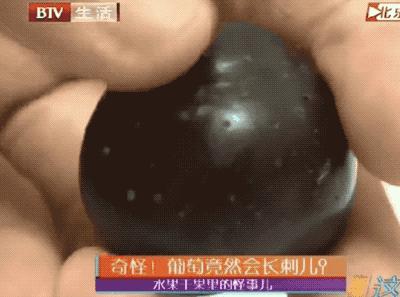 葡萄里含有哪些营养素,葡萄都有什么营养