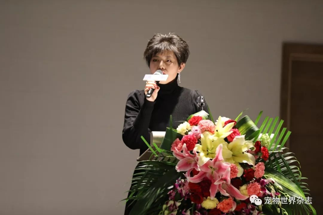 养宠知识分享有问必答,养宠知识普及