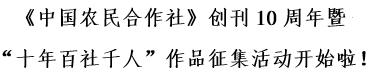 盘活抛荒土地助力乡村振兴,盘活闲置农房土地带动乡村振兴