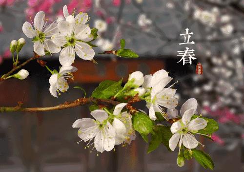19年一遇的除夕立春,除夕逢立春开启一年好兆头
