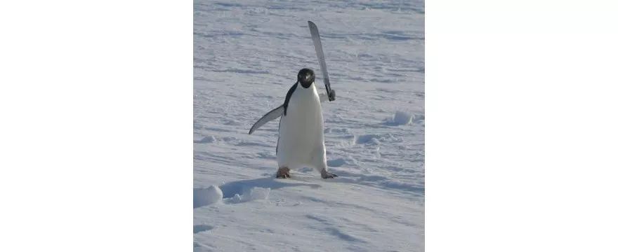 如何通过闲鱼挣钱,我是如何通过简书赚钱的