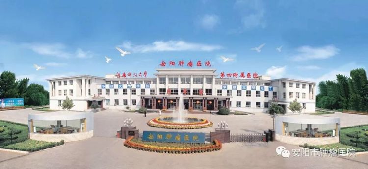 安阳市肿瘤医院现任院长是谁,安阳市肿瘤医院院长徐瑞平