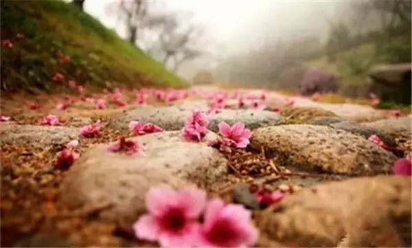 火速收藏!冬*你日**想要的阳光、骑行、美食美景都在这儿~