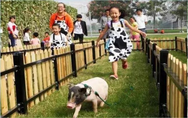 内含福利！600岁故宫又上新，来魔都开“分殿”！get来自紫禁城的皇家新年礼物，街上最靓的崽就是你