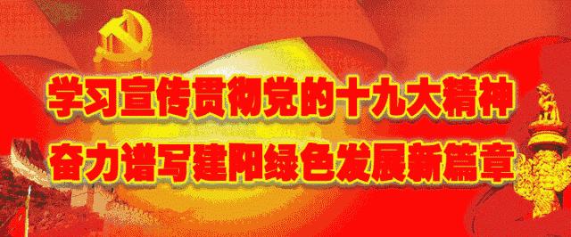 王宏甲,王宏甲历史记录